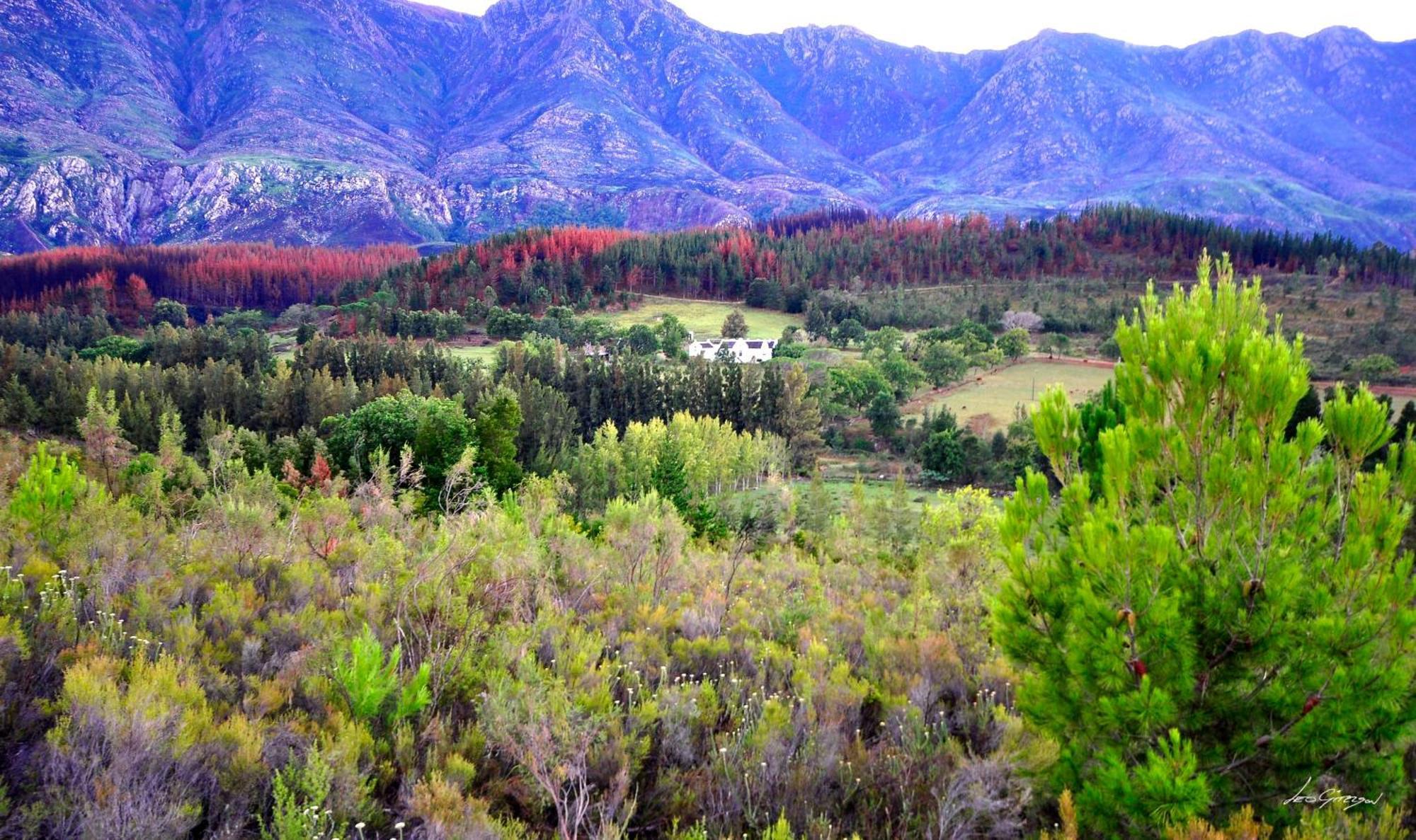 A Hilltop Country Retreat Swellendam