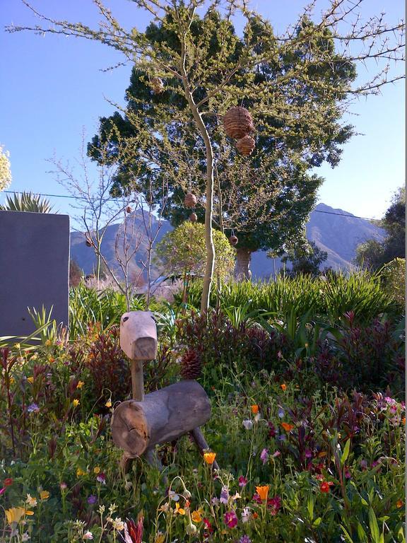 Lodge A Hilltop Country Retreat Swellendam